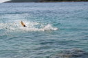 gal/cro 08/_thb_small-IMG_4949.JPG